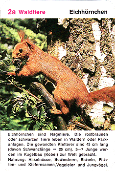 Spielkarte