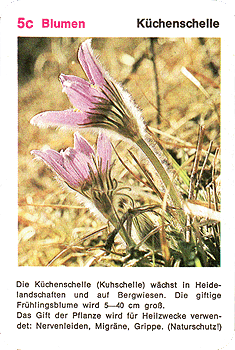 Spielkarte