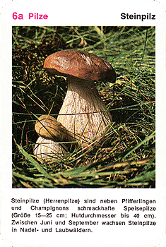 Spielkarte