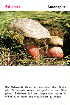 Spielkarte