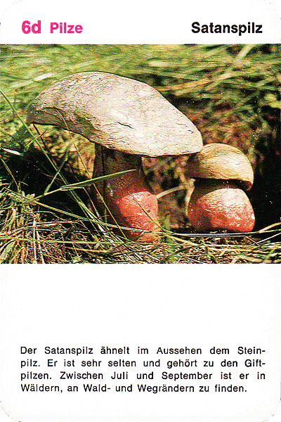 Spielkarte