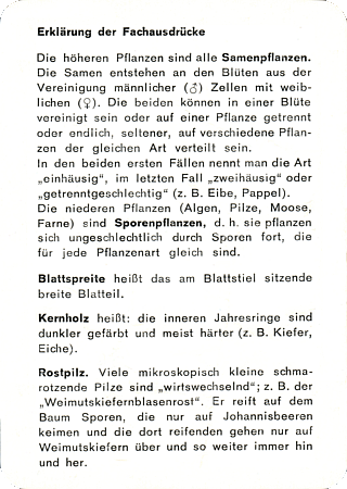 Fachausdr&uuml;cke