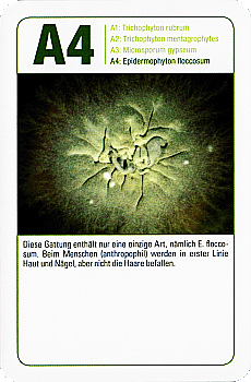 Spielkarte
