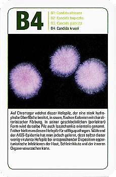 Spielkarte