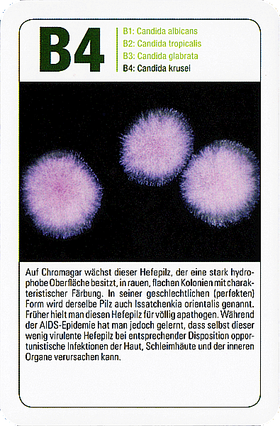 Spielkarte