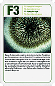 Spielkarte