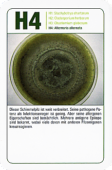 Spielkarte