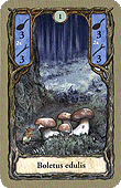 Spielkarte