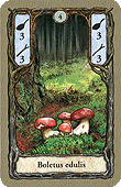Spielkarte