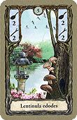 Spielkarte