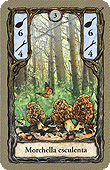 Spielkarte