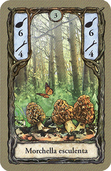 Spielkarte