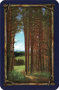 R&uuml;ckseite