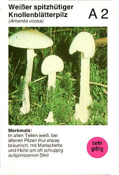 Spielkarte