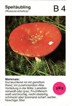 Spielkarte