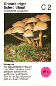 Spielkarte