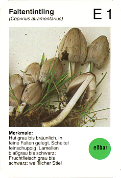 Spielkarte