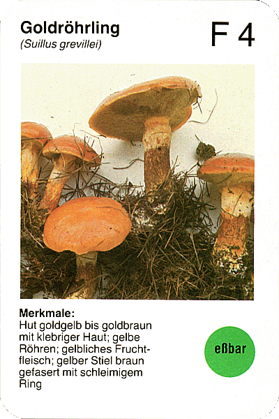 Spielkarte