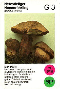 Spielkarte
