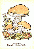 Spielkarte