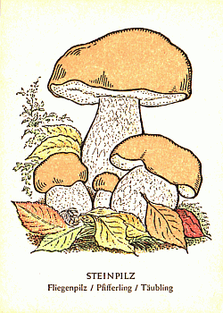 Spielkarte