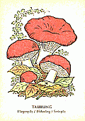 Spielkarte
