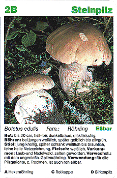 Spielkarte
