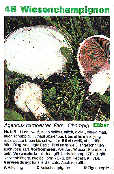 Spielkarte