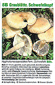 Spielkarte