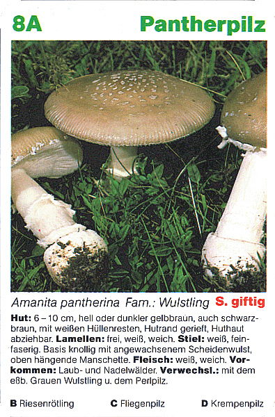 Spielkarte
