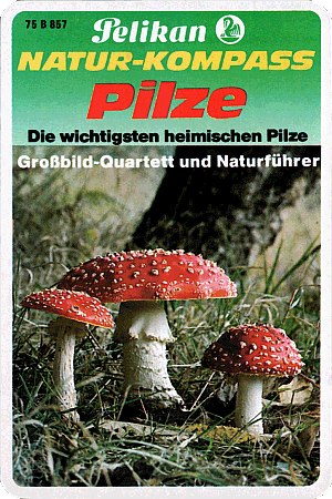 Verpackung
