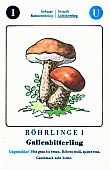 Spielkarte