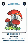 Spielkarte