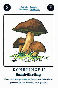 Spielkarte