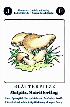 Spielkarte