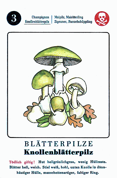 Spielkarte