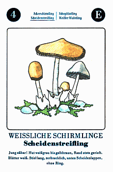 Spielkarte