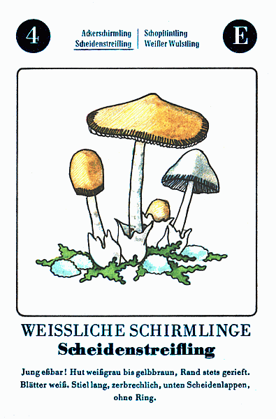 Spielkarte