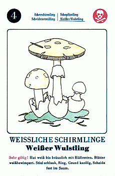 Spielkarte