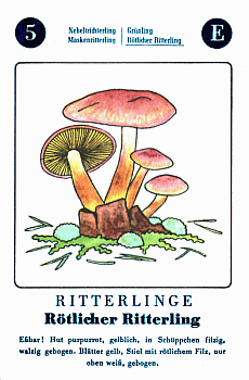 Spielkarte