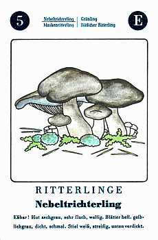 Spielkarte