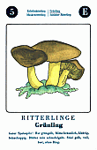 Spielkarte
