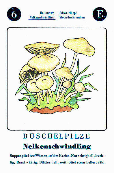 Spielkarte