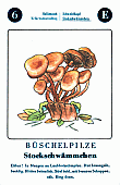 Spielkarte