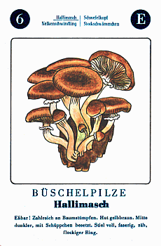 Spielkarte