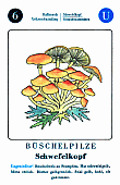 Spielkarte