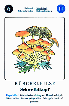 Spielkarte