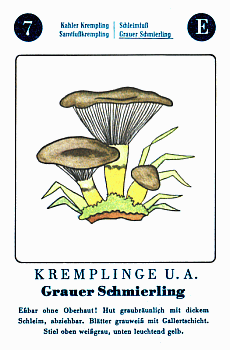 Spielkarte