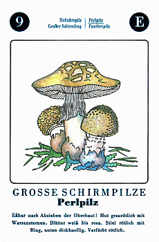 Spielkarte