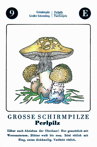Spielkarte